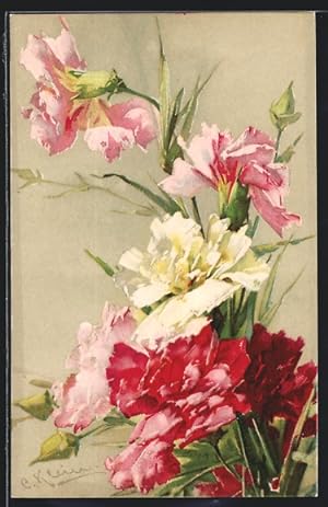 Seller image for Knstler-Ansichtskarte Catharina Klein: Rot, weiss und rosa blhende Nelken for sale by Bartko-Reher