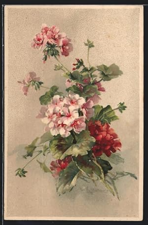 Bild des Verkufers fr Knstler-Ansichtskarte Catharina Klein: Rosa Blumen mit doldenartigem Bltenstand zum Verkauf von Bartko-Reher