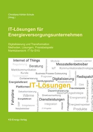 Immagine del venditore per IT-Lsungen fr Energieversorgungsunternehmen venduto da Rheinberg-Buch Andreas Meier eK