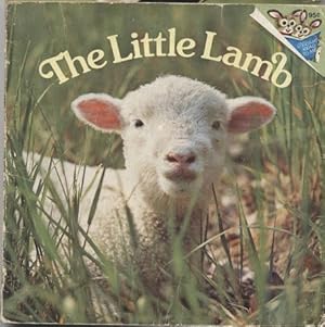 Image du vendeur pour The Little Lamb [SIGNED] mis en vente par ALEXANDER POPE