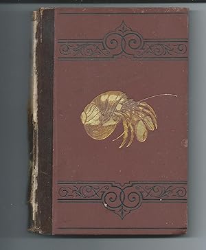 First Book Of Zoology