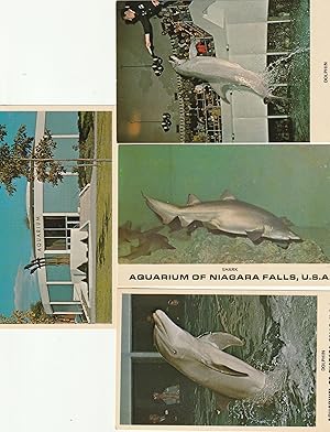 NIAGARA FALLS AQUARIUM (4)POST CARDS