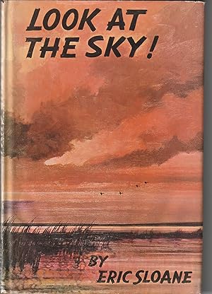 LOOK AT THE SKY! [SIGNED]