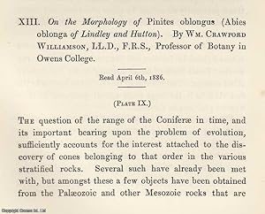 Imagen del vendedor de The Morphology of Pinites Oblongus (Abies Oblonga of Lindley and Hutton). An original article from the Memoirs of the Literary and Philosophical Society of Manchester, 1887. a la venta por Cosmo Books