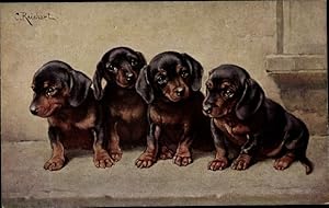 Künstler Ansichtskarte / Postkarte Reichert, Vier kleine Hunde, Dackel, Welpen - TSN 1308 1