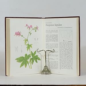 Pelargoniums of Southern Africa. Vol 2