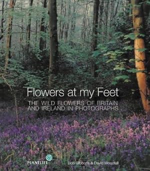 Bild des Verkufers fr Flowers at my Feet: The wild flowers of Britain and Ireland in photographs zum Verkauf von WeBuyBooks