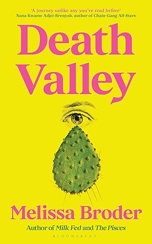 Seller image for Death Valley for sale by moluna