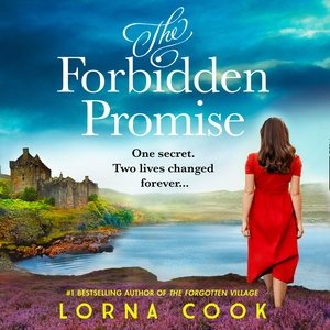 Seller image for Forbidden Promise : One Secret. Two Lives Changed Forever Library Edition for sale by GreatBookPrices