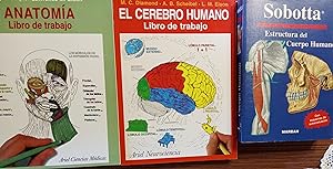 SOBOTTA - ESTRUCTURA DEL CUERPO HUMANO Con esquemas de autoevaluación + EL CEREBRO HUMANO Libro d...