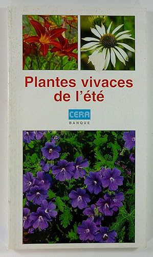 Plantes vivaces de l'été.