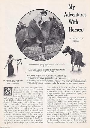 Seller image for My Adventures with Horses : breaking & training horses. An uncommon original article from the Wide World Magazine, 1913. for sale by Cosmo Books