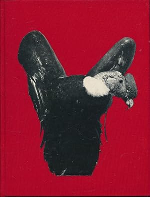 Seller image for Condors et Lamas for sale by LIBRAIRIE GIL-ARTGIL SARL