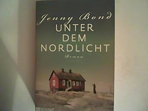 Imagen del vendedor de Unter dem Nordlicht: Roman a la venta por ANTIQUARIAT FRDEBUCH Inh.Michael Simon