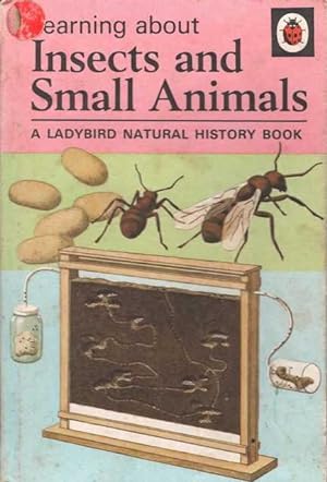 Leaning About Insects and Small Animals