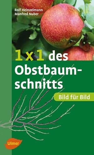 Seller image for 1 x 1 des Obstbaumschnitts: Bild fr Bild Bild fr Bild for sale by Antiquariat Buchhandel Daniel Viertel