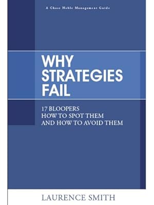 Bild des Verkufers fr Why Strategies Fail: 17 Bloopers: How to Spot Them and How to Avoid Them zum Verkauf von WeBuyBooks