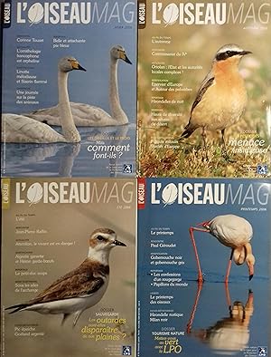 L'Oiseau Magazine. Année 2006 complète. Numéros 82 à 85. Revue de la ligue française pour la prot...