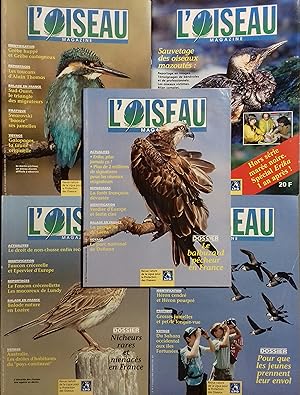 L'Oiseau Magazine. Année 2000 complète. Numéros 58 à 61. Plus le supplément sur le sauvetage des ...