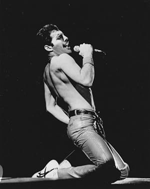 Seller image for Magnifique photographie en retirage noir et blanc, sur papier photo de Freddie Mercury, sur scne, en concert. for sale by Librairie Victor Sevilla