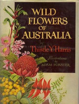 Wild Flowers of Australia