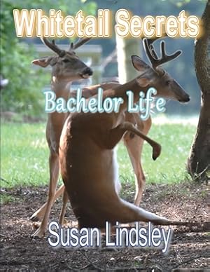 Seller image for Whitetail Secrets: Bachelor Life (Paperback or Softback) for sale by BargainBookStores