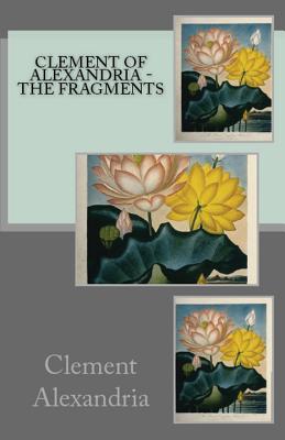 Seller image for The Fragments (Paperback or Softback) for sale by BargainBookStores