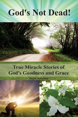 Seller image for God's Not Dead!: True Miracle Stories of God's Goodness and Grace (Paperback or Softback) for sale by BargainBookStores