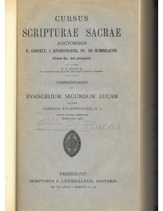 Seller image for COMMENTARIUS IN EVANGELIUM SECUNDUM LUCAM for sale by Librovicios