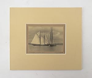 Schooners Crowding the Starting Line at Halifax Harbour, N.S.