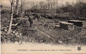 POSTAL PV08621: Paisaje de invierno tala de arboles en el Mauso Florenza, Puigcerda