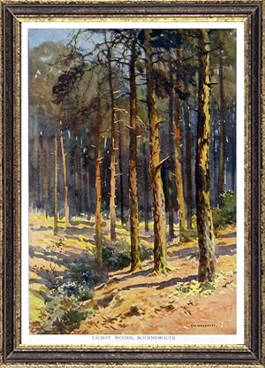 Talbot Woods in Bournemouth, Dorset, England,Vintage Watercolor Print