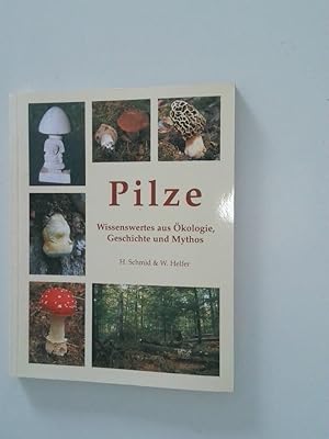 Bild des Verkufers fr Pilze. Wissenswertes aus kologie, Geschichte und Mythos Wissenswertes aus kologie, Geschichte und Mythos zum Verkauf von Antiquariat Buchhandel Daniel Viertel