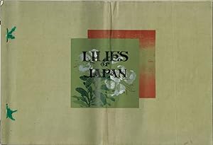 Lilies of Japan