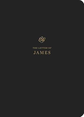 Seller image for ESV Scripture Journal: James (Paperback or Softback) for sale by BargainBookStores