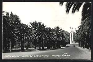 Postcard Palmeras, Chapultepec, Paseo de Las