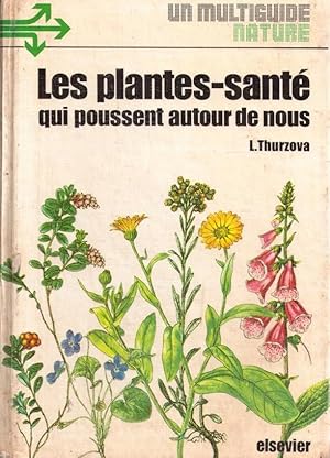 Les plantes-santé qui poussent autour de nous