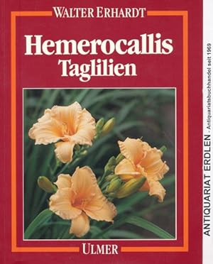 Imagen del vendedor de Hemerocallis. Taglilien. a la venta por ANTIQUARIAT ERDLEN