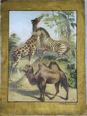 Sells Brother's [Circus] Handbill, "Lessons In Natural History"