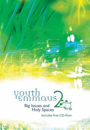 Seller image for Youth Emmaus 2: Big Issues and Holy Spaces: Stage 1 (Emmaus: The Way of Faith, Stage 1) for sale by WeBuyBooks