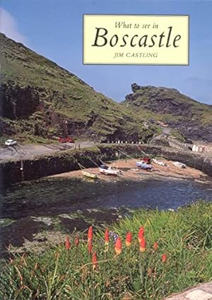 Seller image for What to See in Boscastle for sale by WeBuyBooks