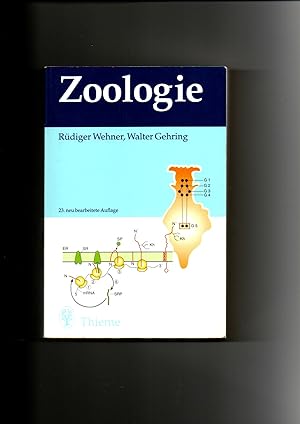 Seller image for Rdiger Wehner, Walter Gehring, Zoologie / 23. Auflage for sale by sonntago DE