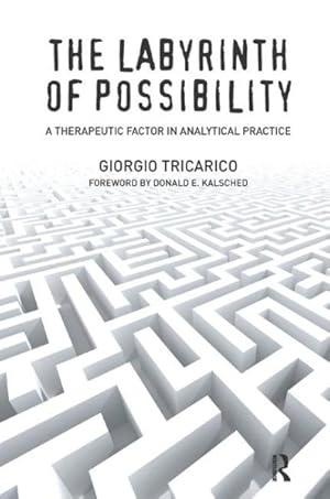 Imagen del vendedor de Labyrinth of Possibility : A Therapeutic Factor in Analytical Practice a la venta por GreatBookPrices