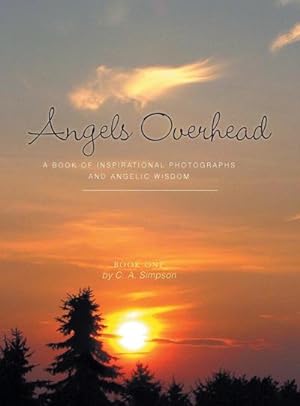 Bild des Verkufers fr Angels Overhead : A Book of Inspirational Photographs and Angelic Wisdom zum Verkauf von AHA-BUCH GmbH
