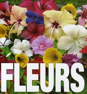 Bild des Verkufers fr Fleurs - Valeria Manferto De Fabianis zum Verkauf von Book Hmisphres