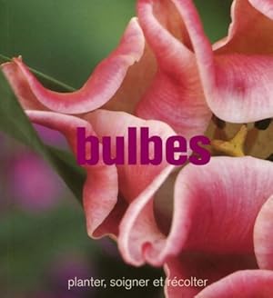 Imagen del vendedor de Bulbes : Planter soigner et r?colter - Paul Urquhart a la venta por Book Hmisphres