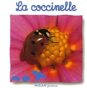 Seller image for Coccinelle (la) - Natacha Scheidhauer-Fradin for sale by Book Hmisphres