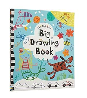 Bild des Verkufers fr Big Drawing Book (Usborne Drawing, Doodling and Colouring) zum Verkauf von WeBuyBooks 2