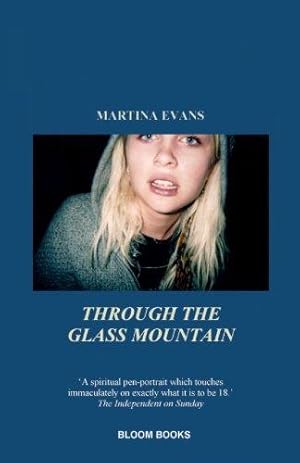 Seller image for Through The Glass Mountain for sale by WeBuyBooks 2