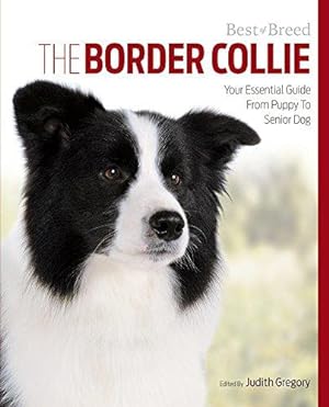 Seller image for Border Collie Best of Breed: Your Essential Guide from Puppy to Senior Dog for sale by WeBuyBooks 2